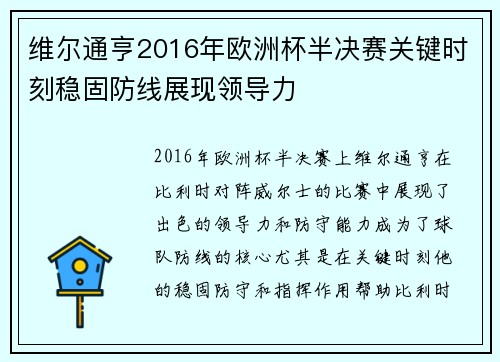 维尔通亨2016年欧洲杯半决赛关键时刻稳固防线展现领导力